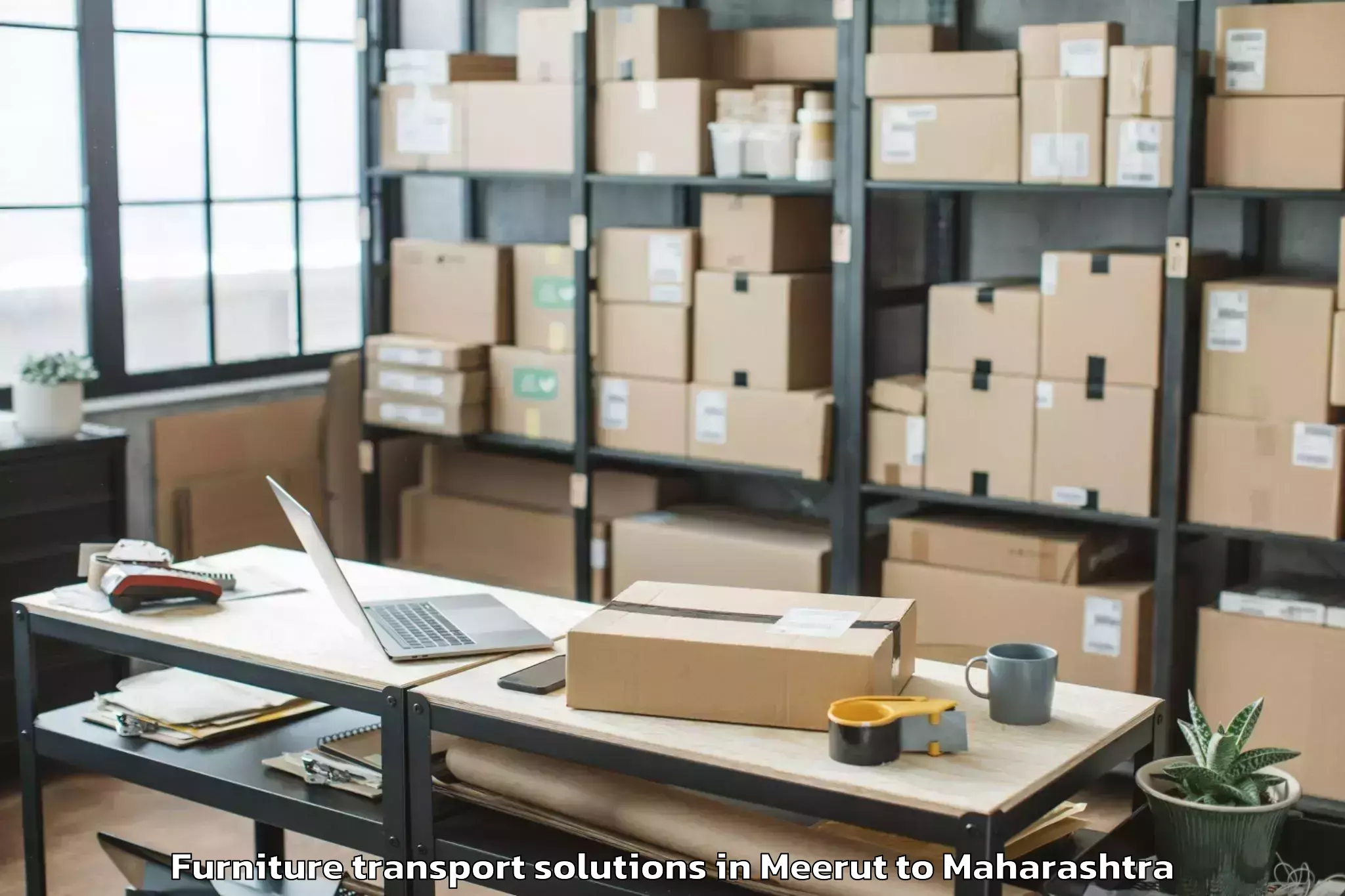 Professional Meerut to Raigarh Maharashtra Furniture Transport Solutions